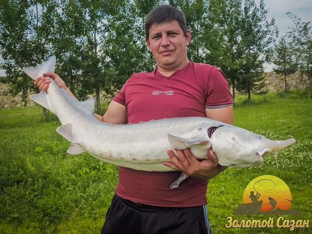 Трофей 121