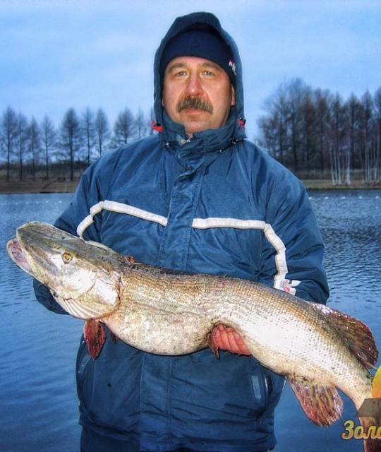 Валерий Газзаев
