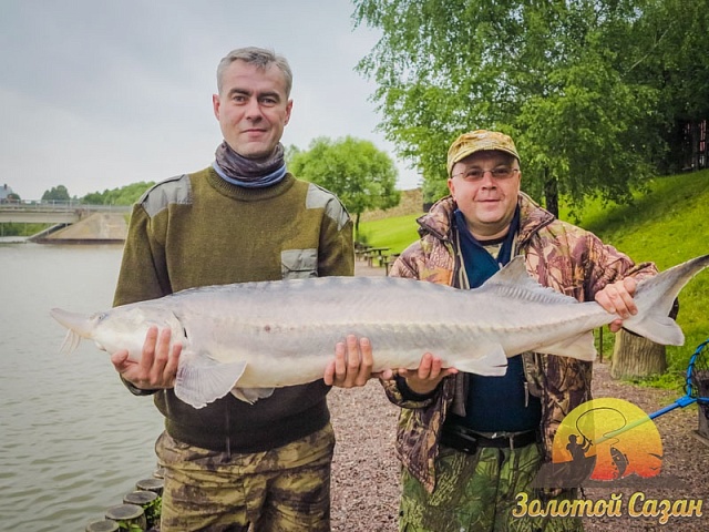 Трофей 127