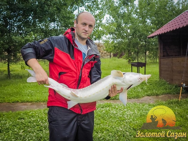 Трофей 126