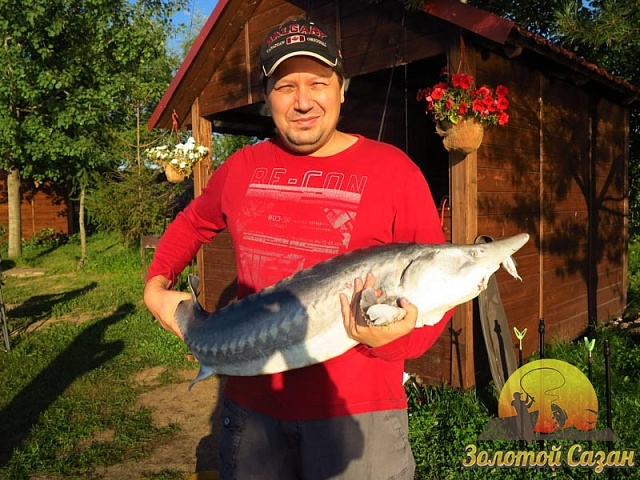 Трофей 136