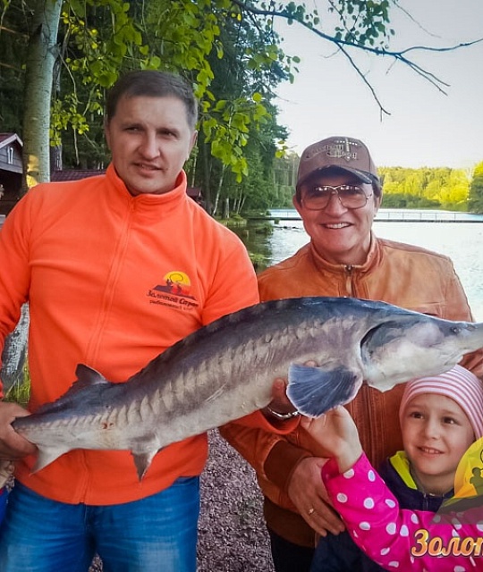 Дмитрий Дибров