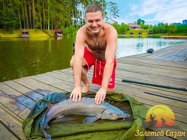 Трофей 123