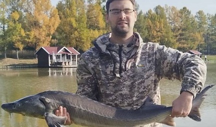 Осётр активен по всему водоёму, попадается и карп