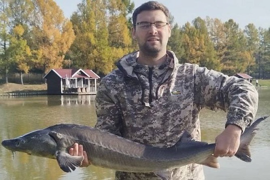 Осётр активен по всему водоёму, попадается и карп